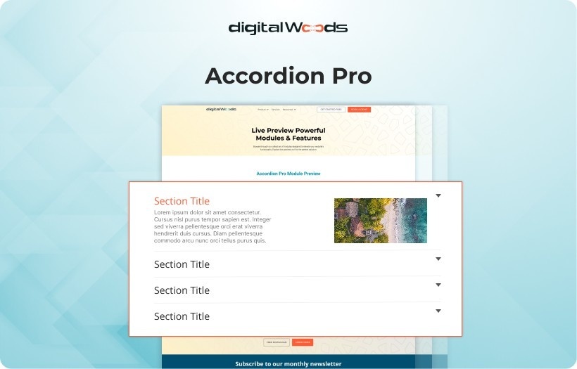 Accordion Pro