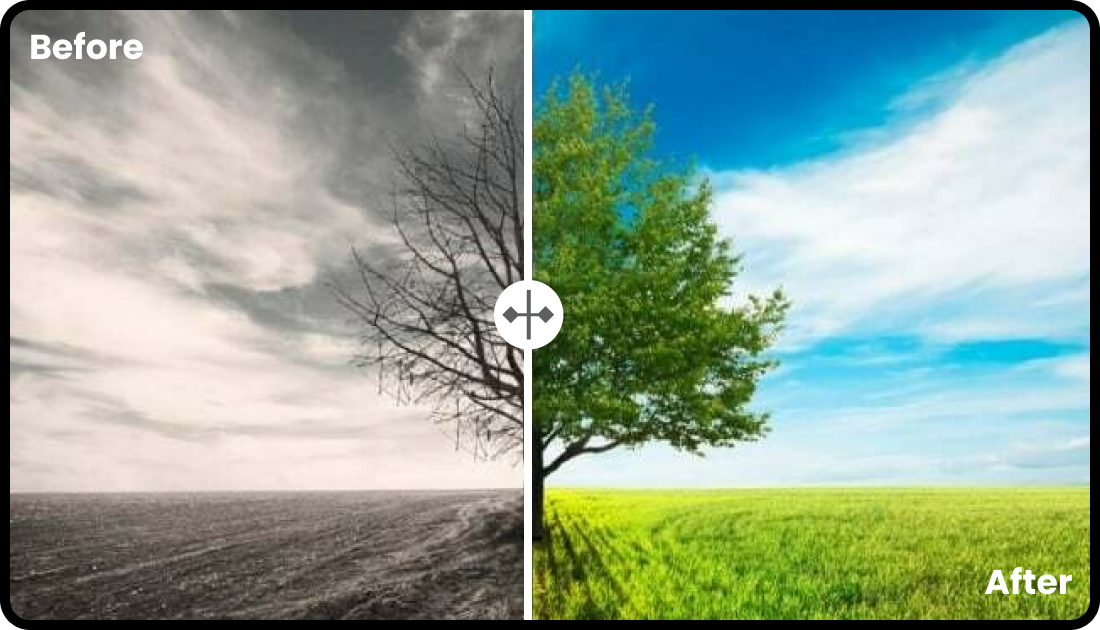 Before After Image Slider image