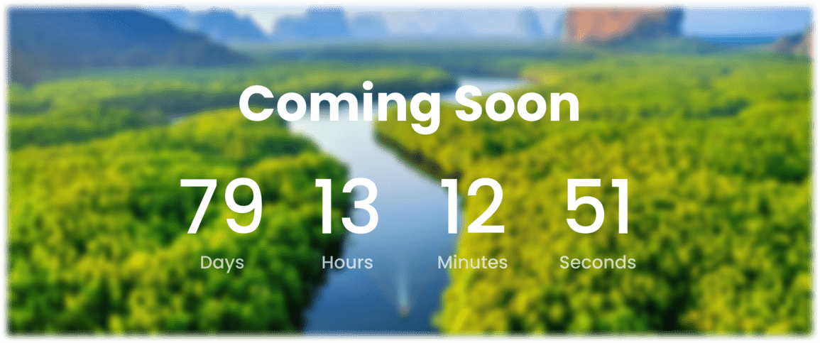 Countdown Timer image