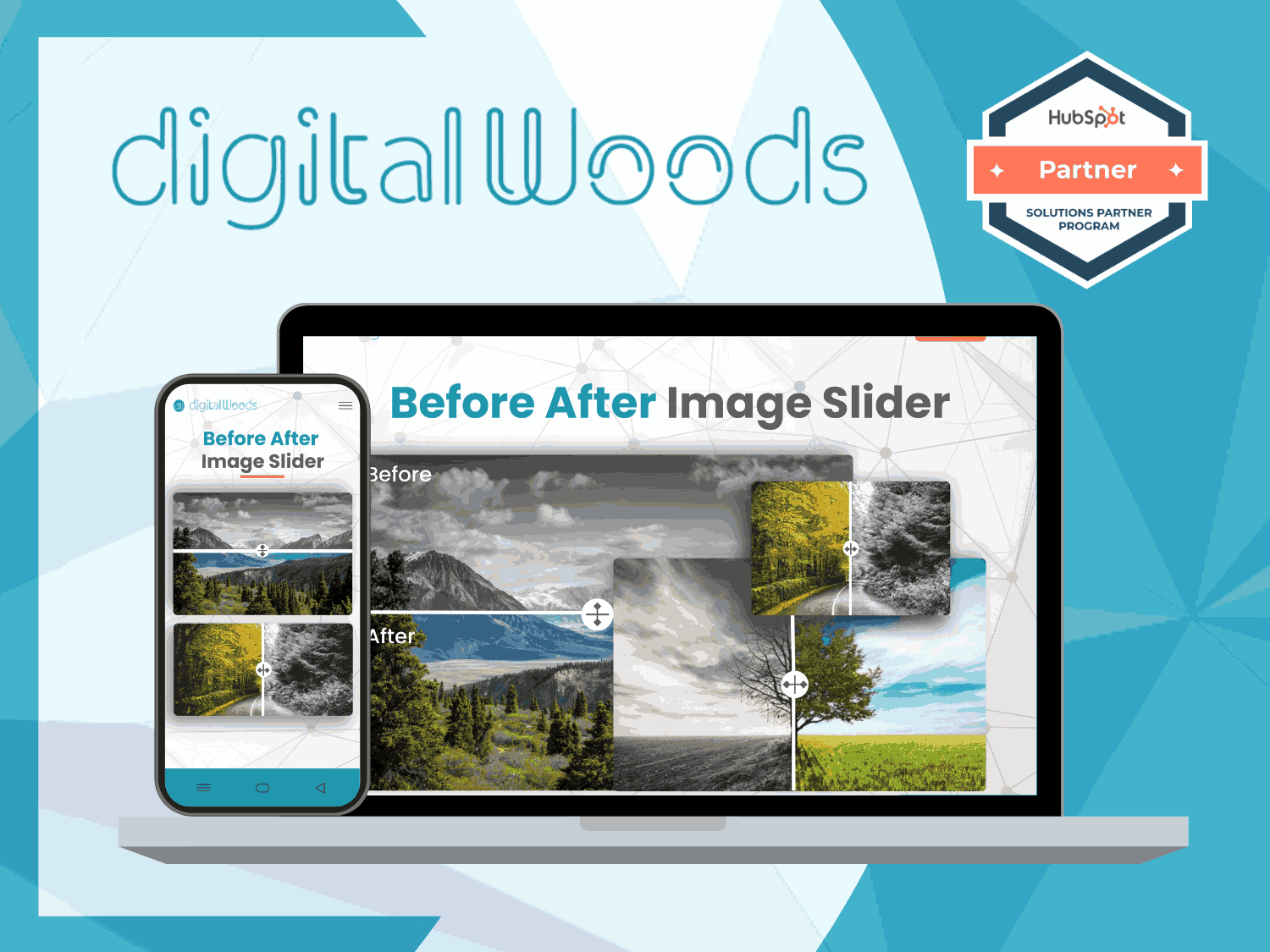 Before After Image Slider
