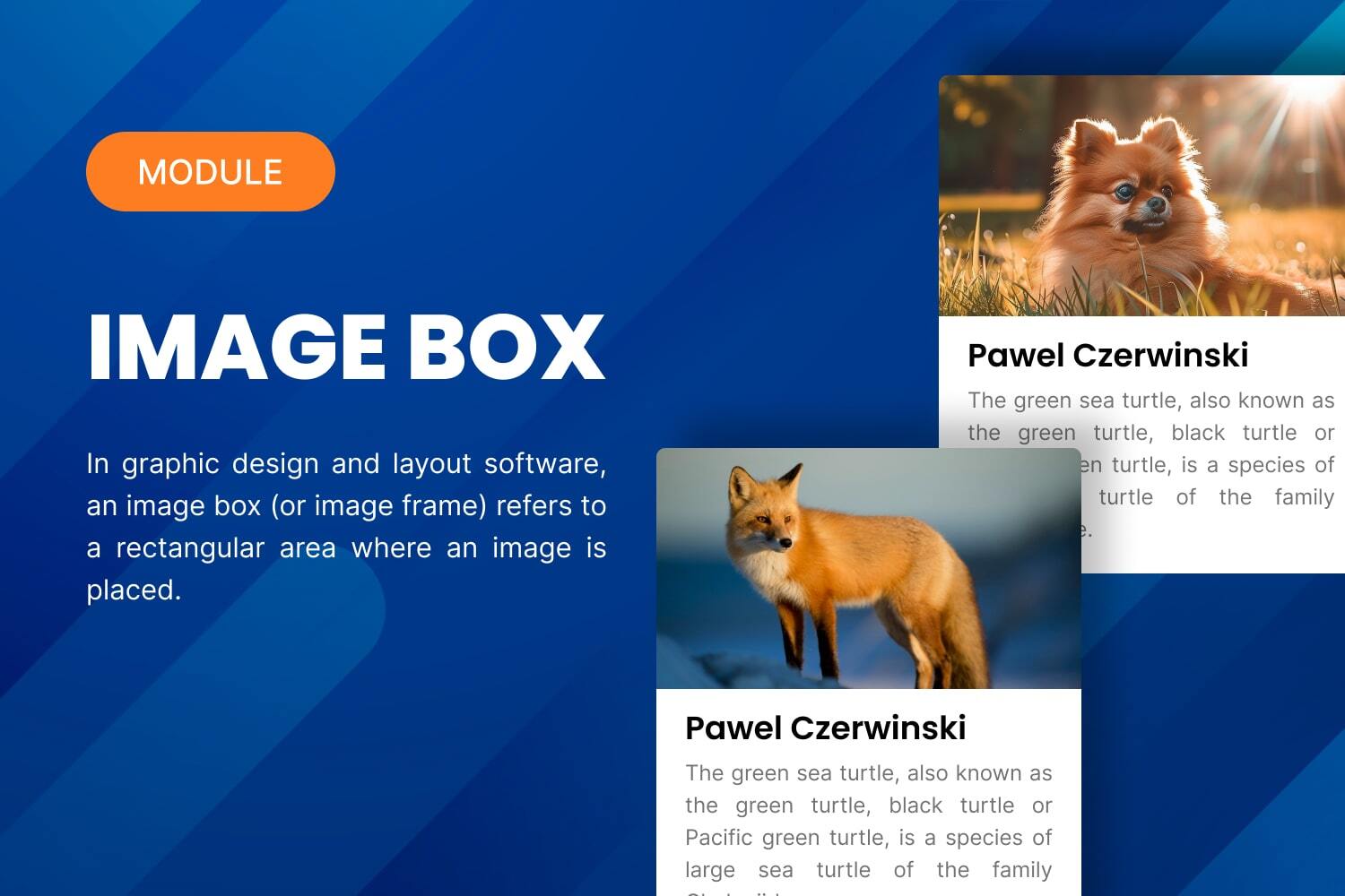 Image Box